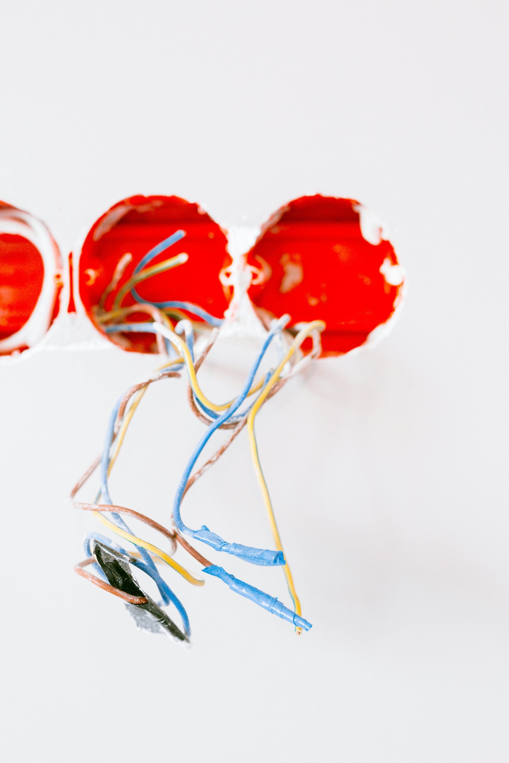 Vibrants fils électriques émergeant d'une prise lors de travaux de rénovation, illustrant l'amélioration de l'habitat.