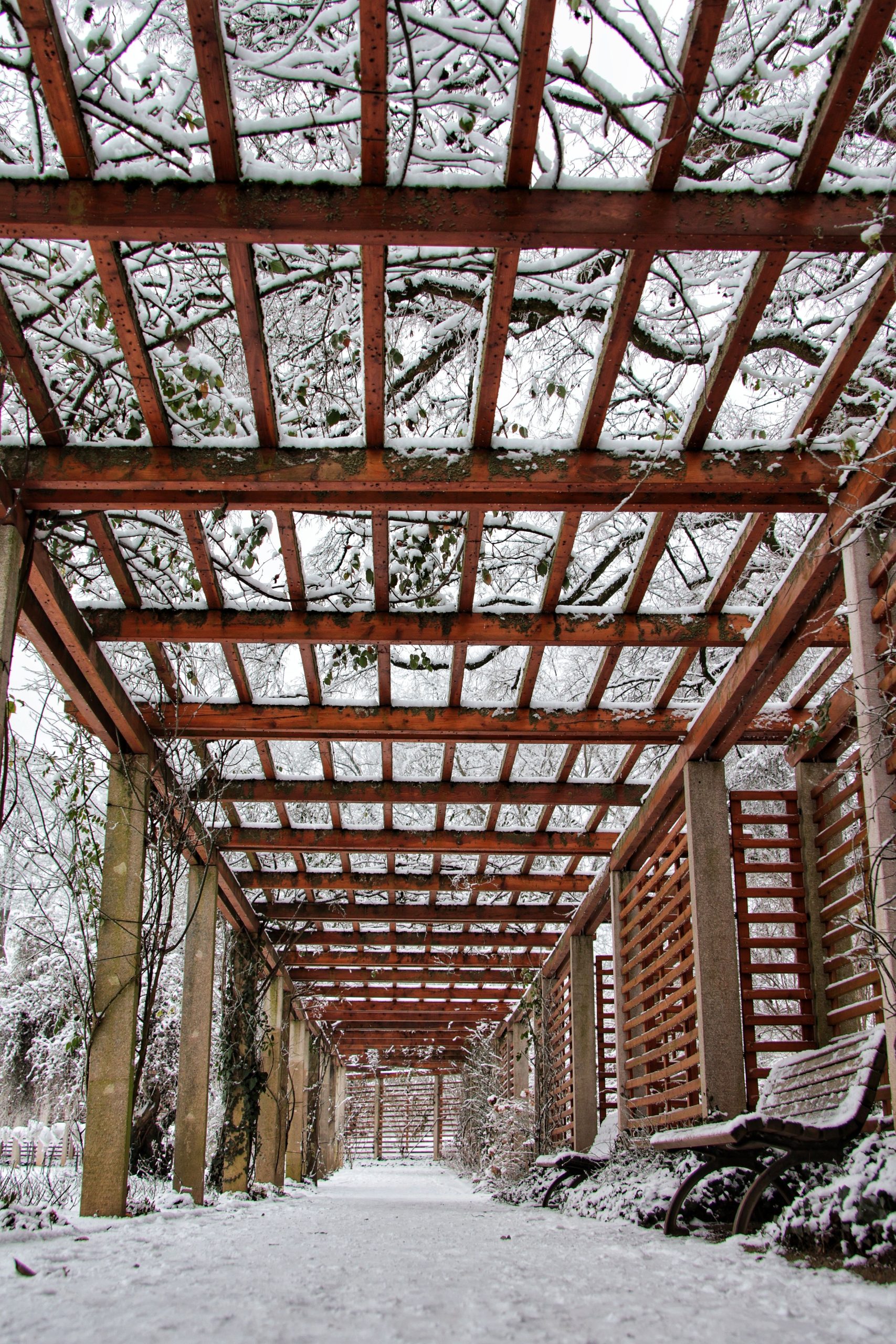 Pergola couverte étanche protection pluie