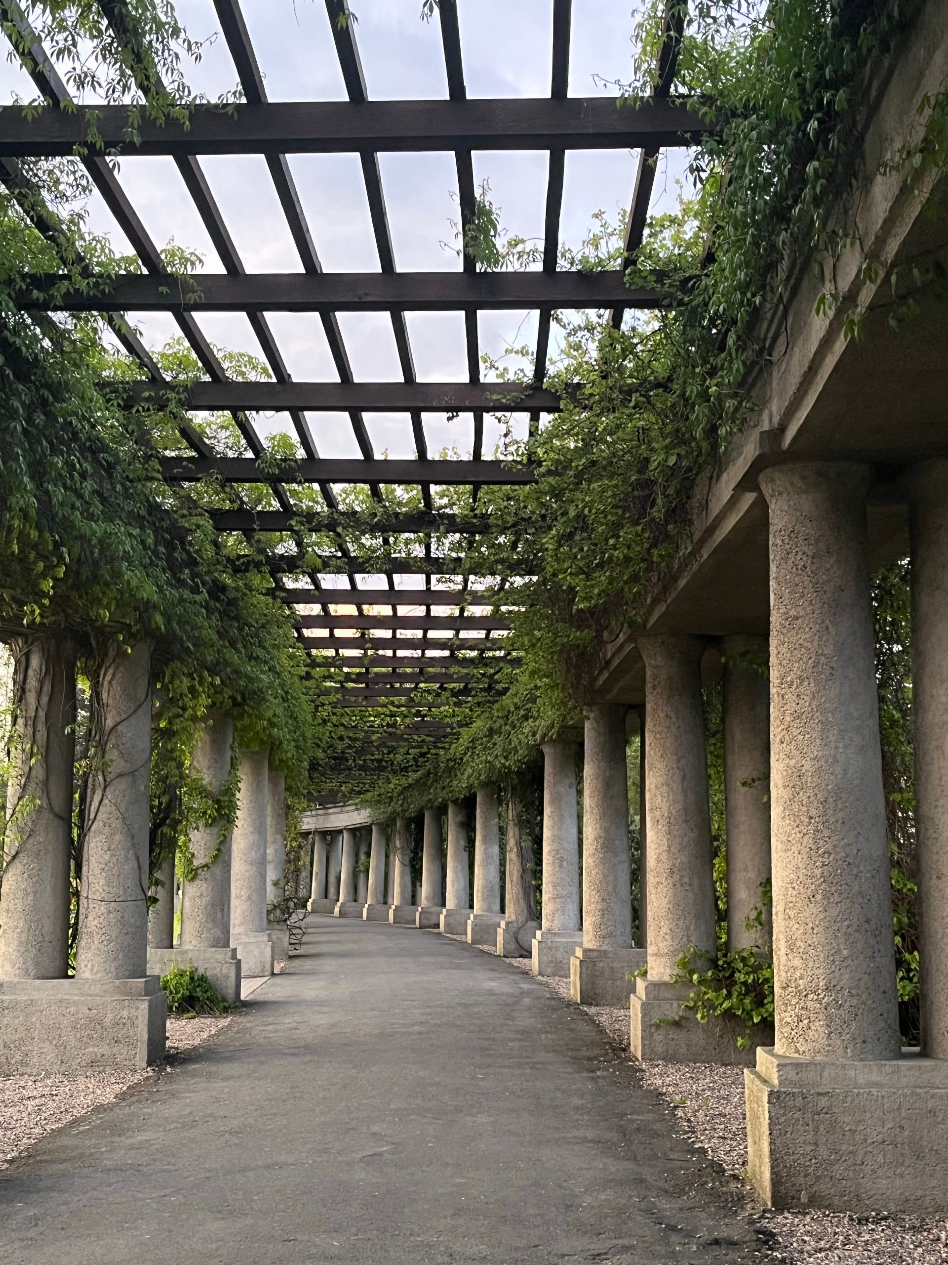 Protection pergola pluie couverture