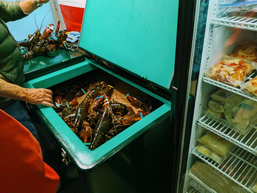 Aliments surgelés rangés dans un congélateur