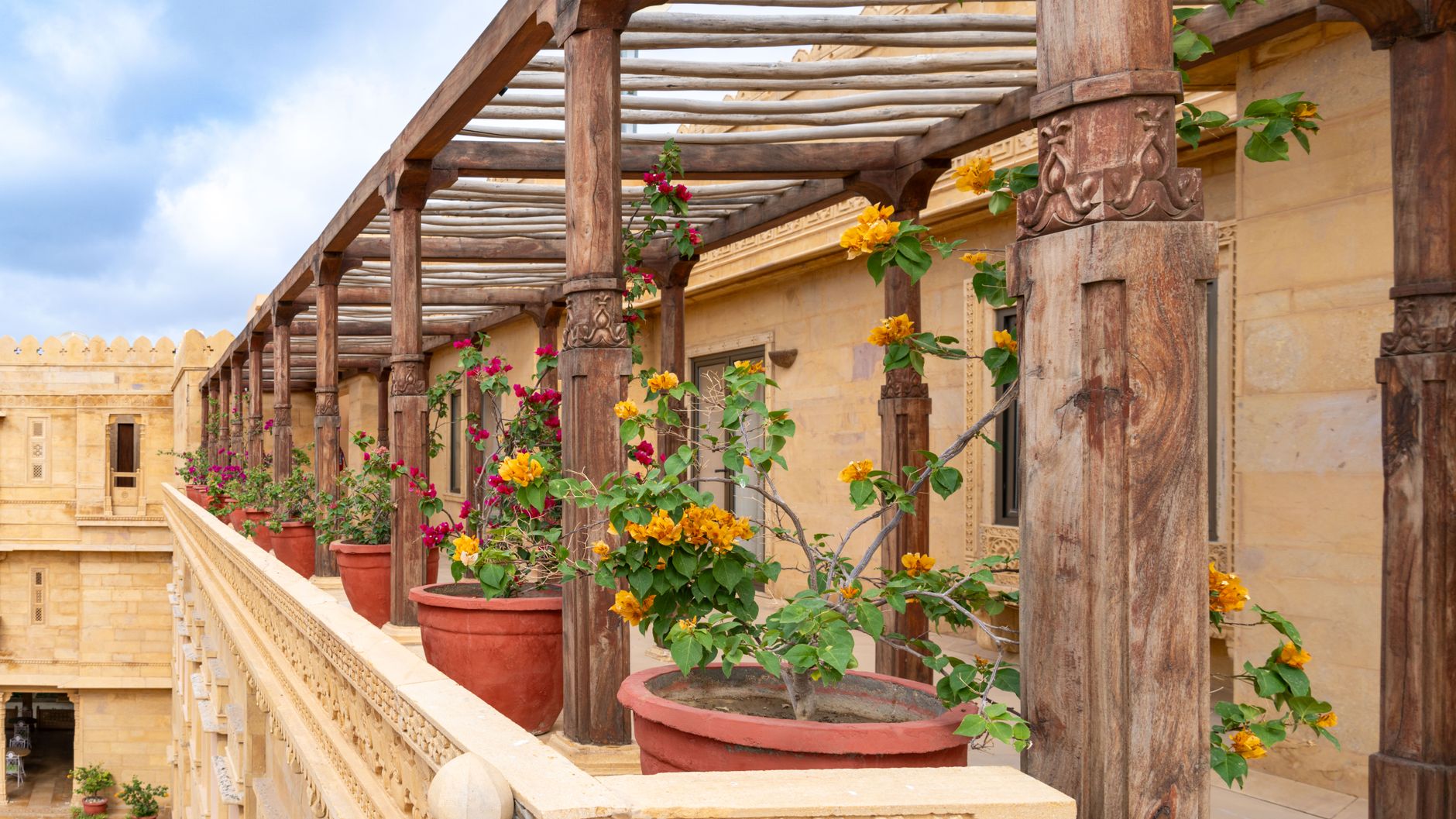 Pergola en bois couverte de bougainvillées en fleurs
